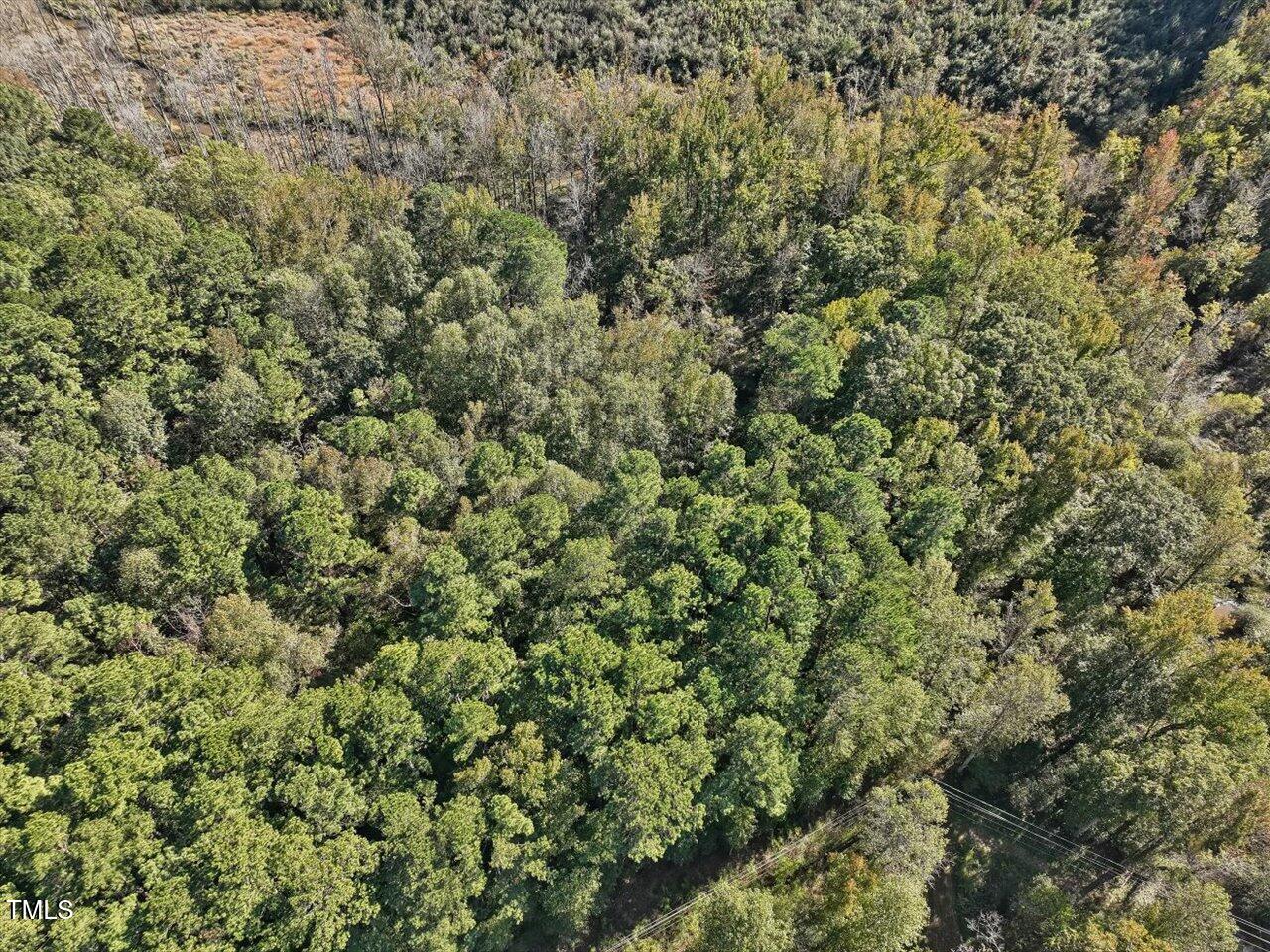 177 Karen Calhoun Road Pittsboro, NC 27312 - Photo 9 of 17