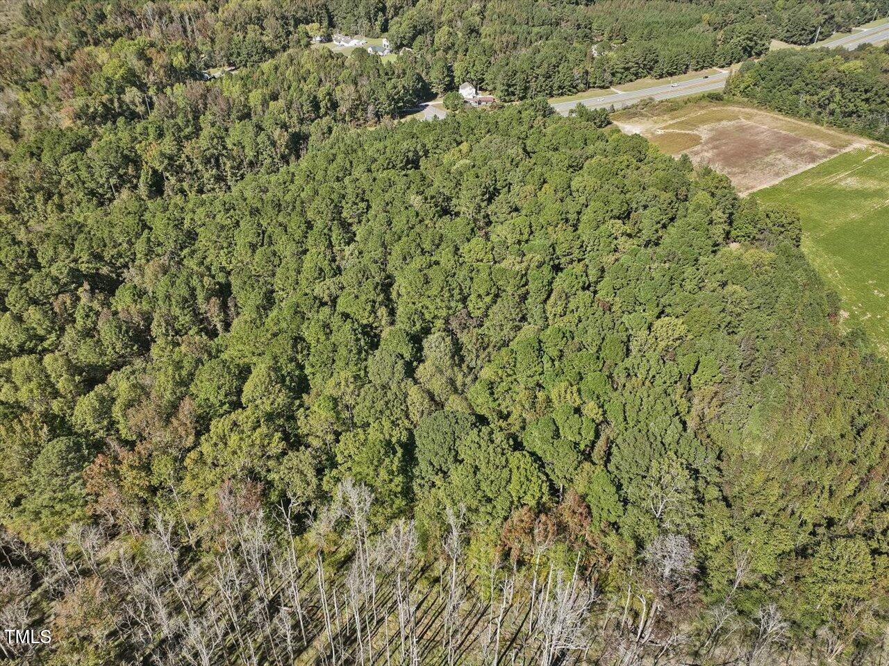 177 Karen Calhoun Road Pittsboro, NC 27312 - Photo 10 of 17 a view of a big yard with lots of bushes
