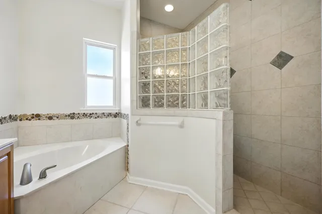 a view of a yard with plants and large trees