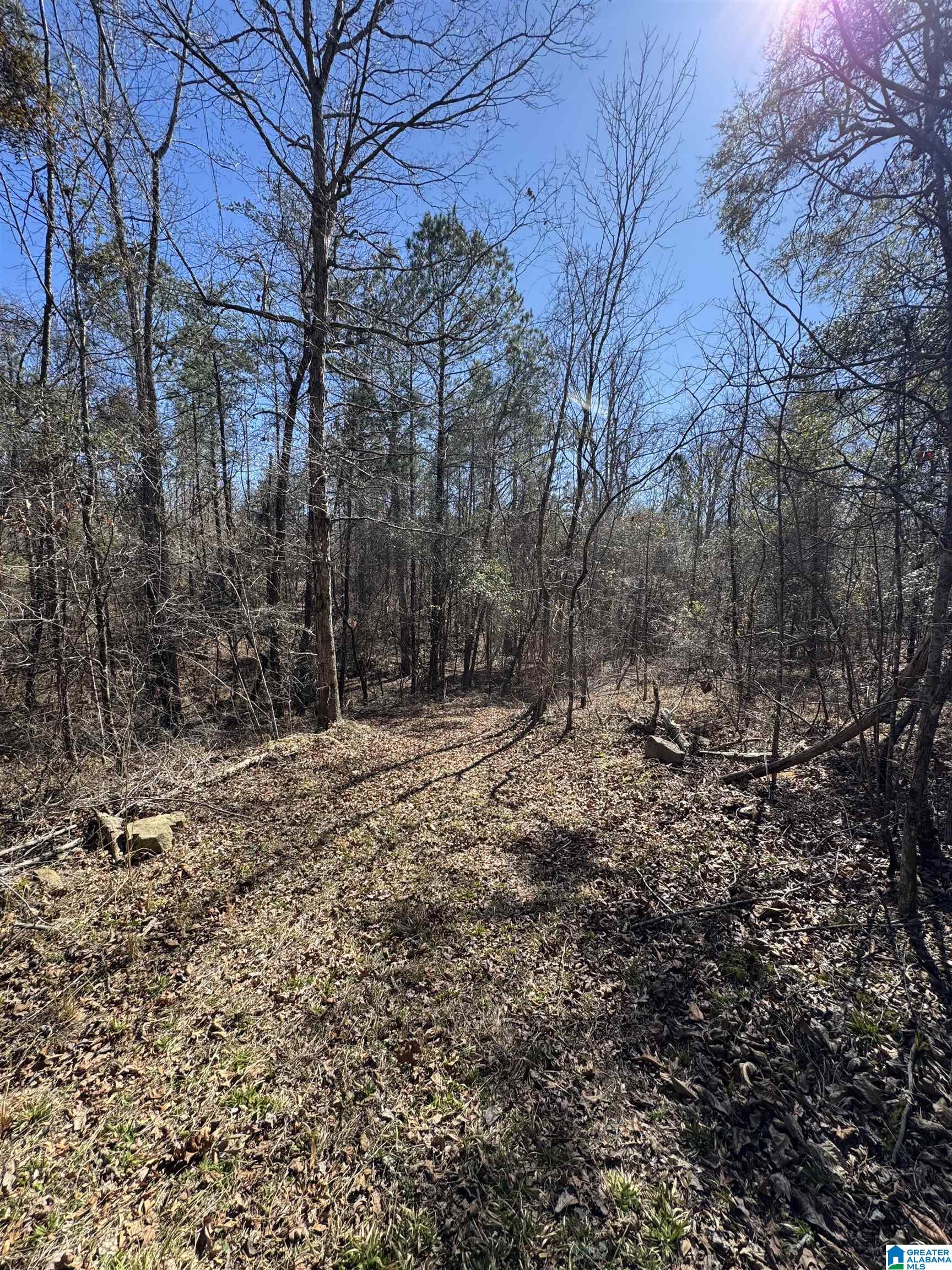 19075 Westside Road, Unit 5 Brookwood, AL 35444 - Photo 7 of 21