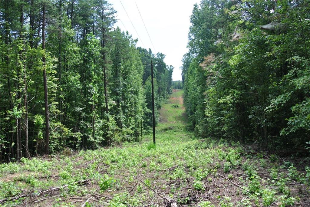 17 Surry Line Road Pinnacle, NC 27043 - Photo 2 of 4