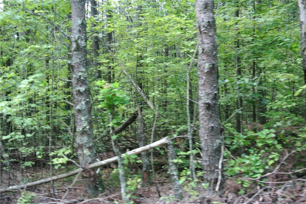 17 Surry Line Road Pinnacle, NC 27043 - Photo 4 of 4