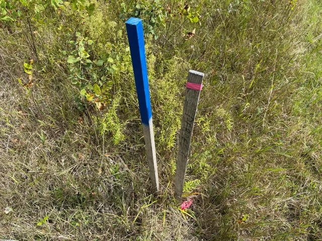 $99,000 | 11 (parcel A) Loman Mn 56654, Loman, MN 56654