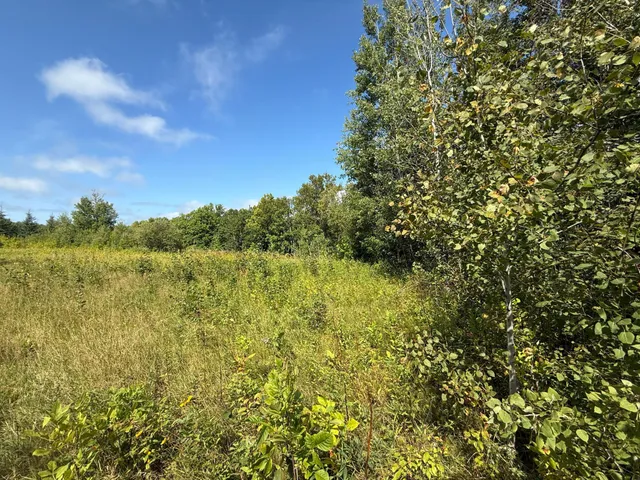 $99,000 | 11 (parcel A) Loman Mn 56654, Loman, MN 56654