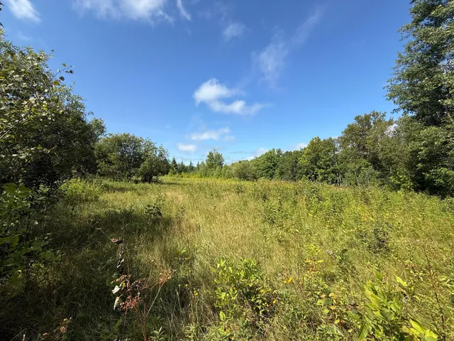 $99,000 | 11 (parcel A) Loman Mn 56654, Loman, MN 56654