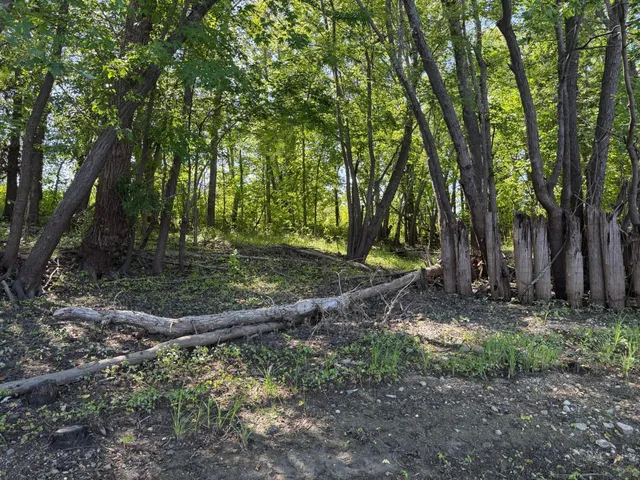 $99,000 | 11 (parcel A) Loman Mn 56654, Loman, MN 56654