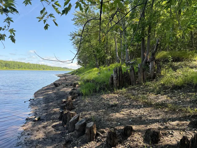 $99,000 | 11 (parcel A) Loman Mn 56654, Loman, MN 56654