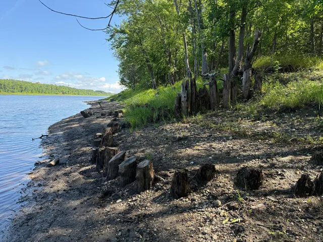 $99,000 | 11 (parcel A) Loman Mn 56654, Loman, MN 56654