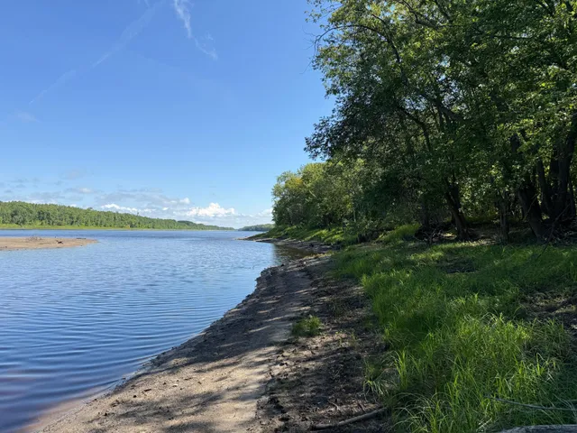 $99,000 | 11 (parcel A) Loman Mn 56654, Loman, MN 56654