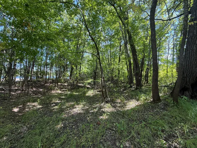 $99,000 | 11 (parcel A) Loman Mn 56654, Loman, MN 56654