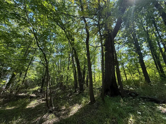 $99,000 | 11 (parcel A) Loman Mn 56654, Loman, MN 56654