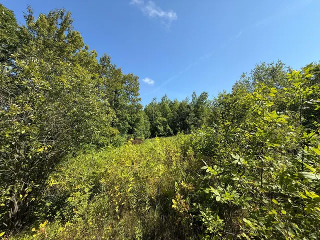 $99,000 | 11 (parcel A) Loman Mn 56654, Loman, MN 56654