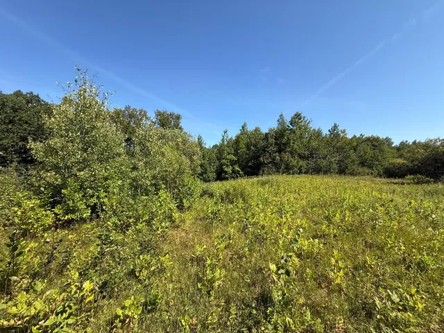 $99,000 | 11 (parcel A) Loman Mn 56654, Loman, MN 56654