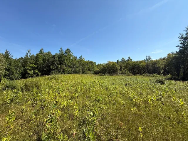 $99,000 | 11 (parcel A) Loman Mn 56654, Loman, MN 56654