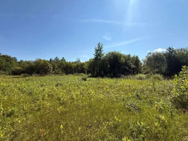 $99,000 | 11 (parcel A) Loman Mn 56654, Loman, MN 56654