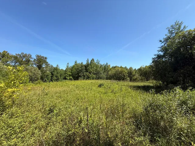 $99,000 | 11 (parcel A) Loman Mn 56654, Loman, MN 56654