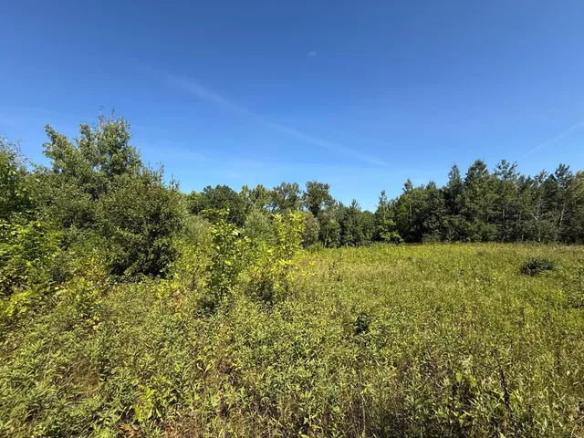$99,000 | 11 (parcel A) Loman Mn 56654, Loman, MN 56654