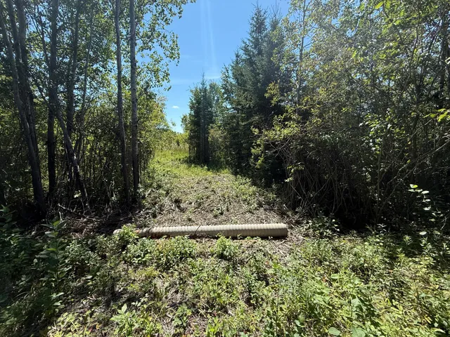 $99,000 | 11 (parcel A) Loman Mn 56654, Loman, MN 56654