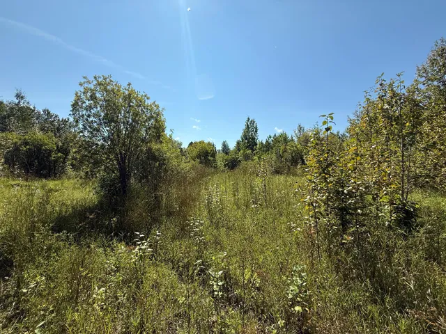 $99,000 | 11 (parcel A) Loman Mn 56654, Loman, MN 56654