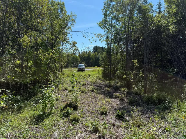 $99,000 | 11 (parcel A) Loman Mn 56654, Loman, MN 56654