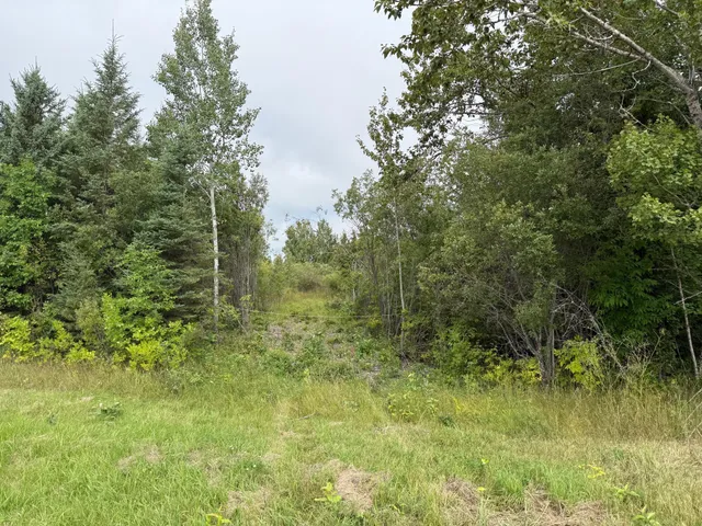 $99,000 | 11 (parcel A) Loman Mn 56654, Loman, MN 56654