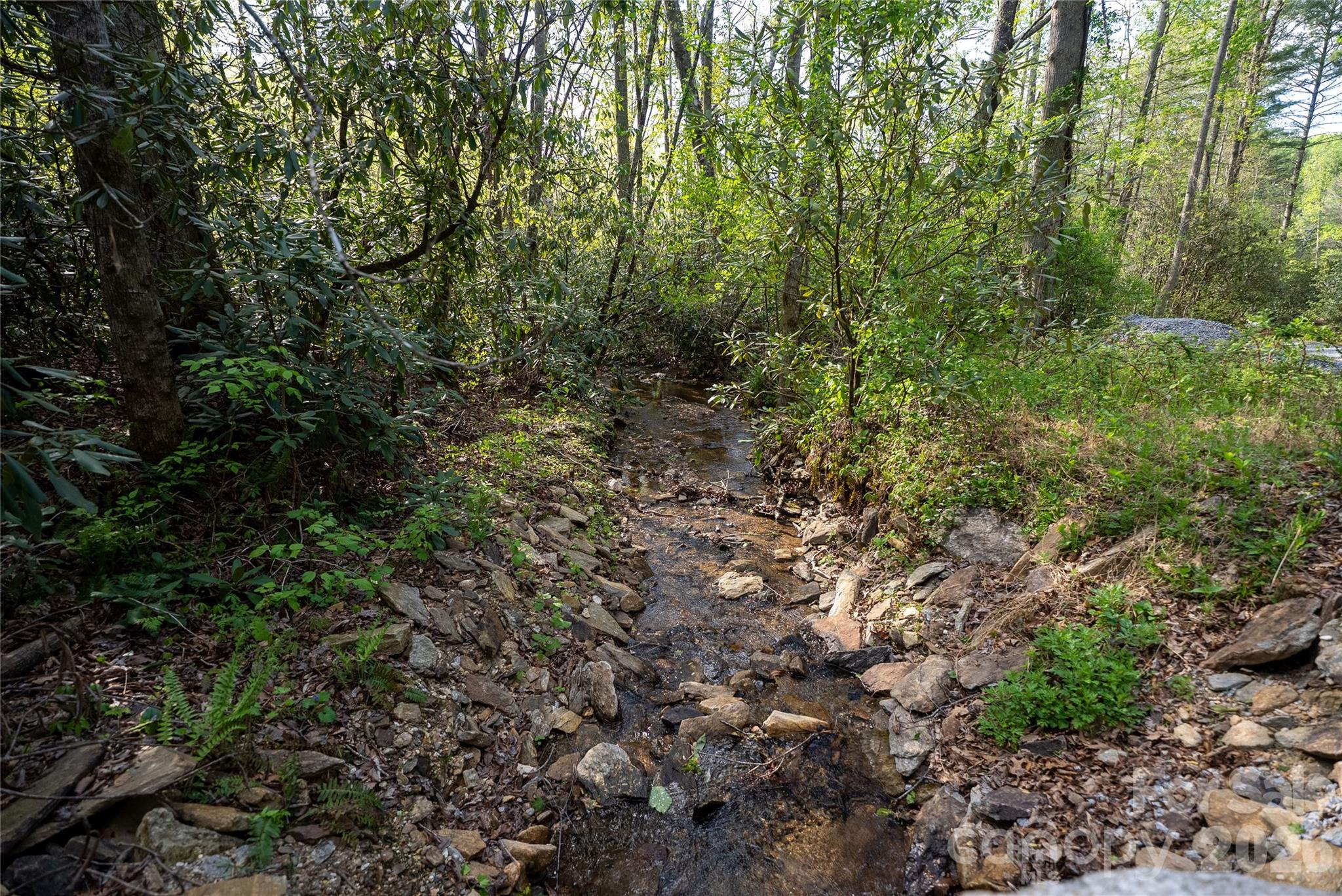 1412 North Bearwallow Road Fletcher, NC 28732 - Photo 12 of 30 a view of a forest with plants and trees