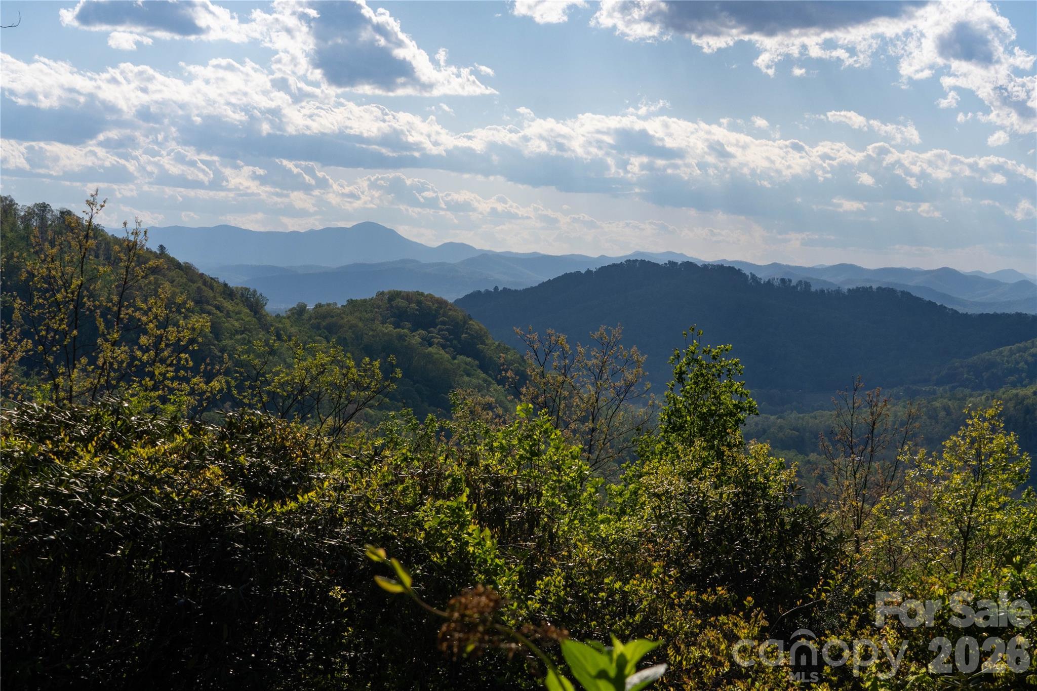 1412 North Bearwallow Road Fletcher, NC 28732 - Photo 2 of 30 a view of a houses with a yard and mountain view in back