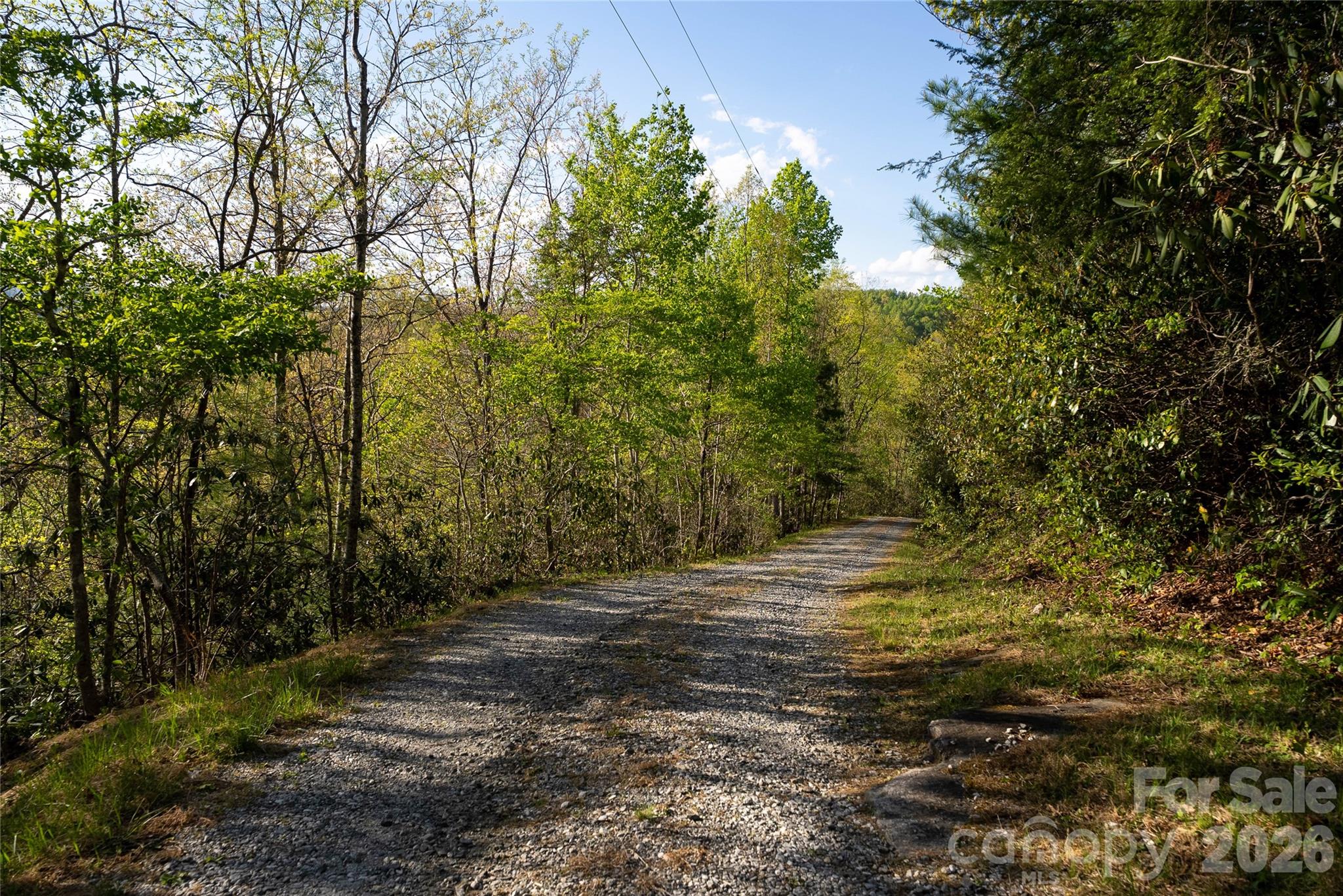 1412 North Bearwallow Road Fletcher, NC 28732 - Photo 29 of 30 a view of outdoor space and yard