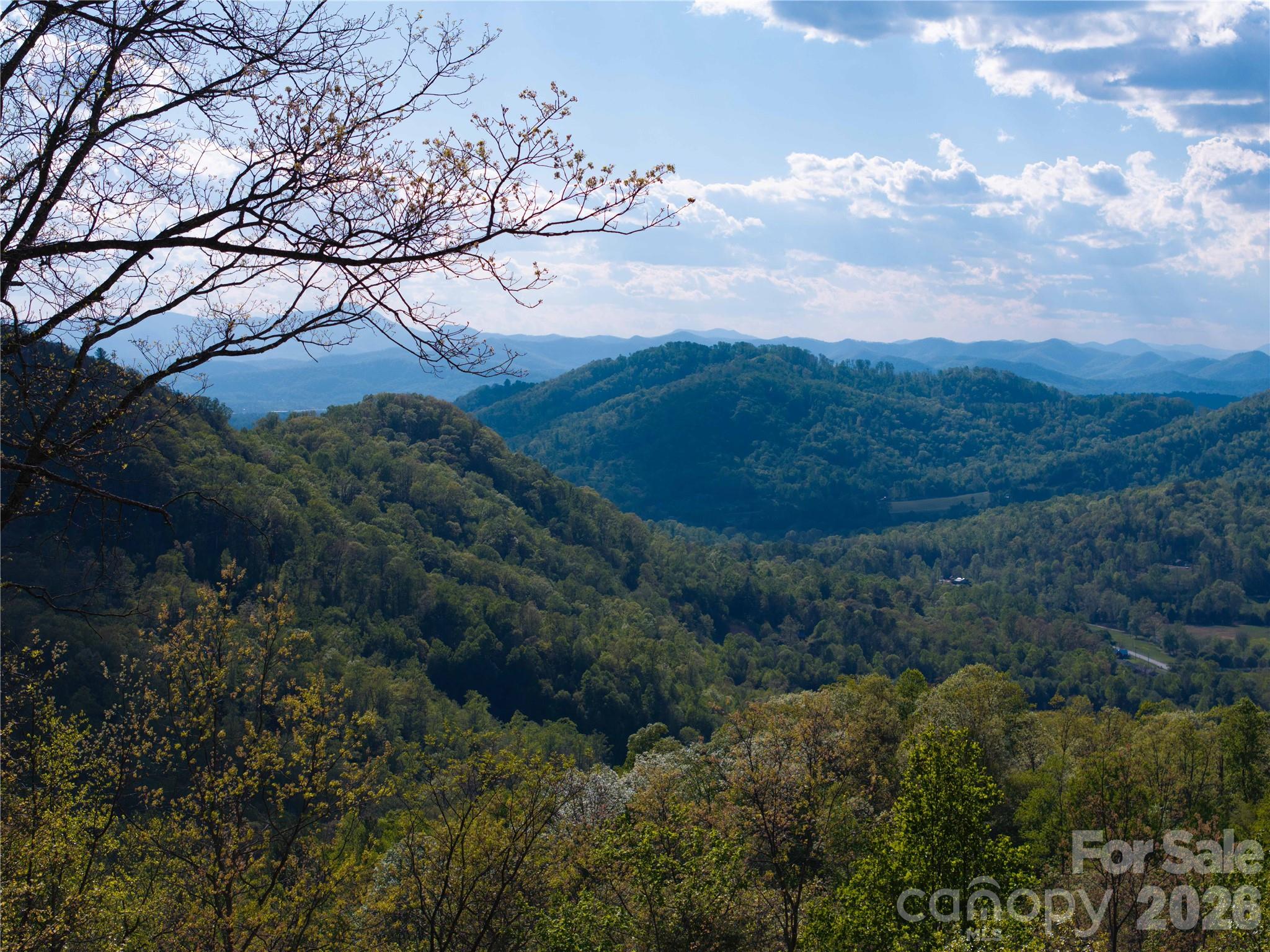 1412 North Bearwallow Road Fletcher, NC 28732 - Photo 4 of 30 a view of mountain covered with trees