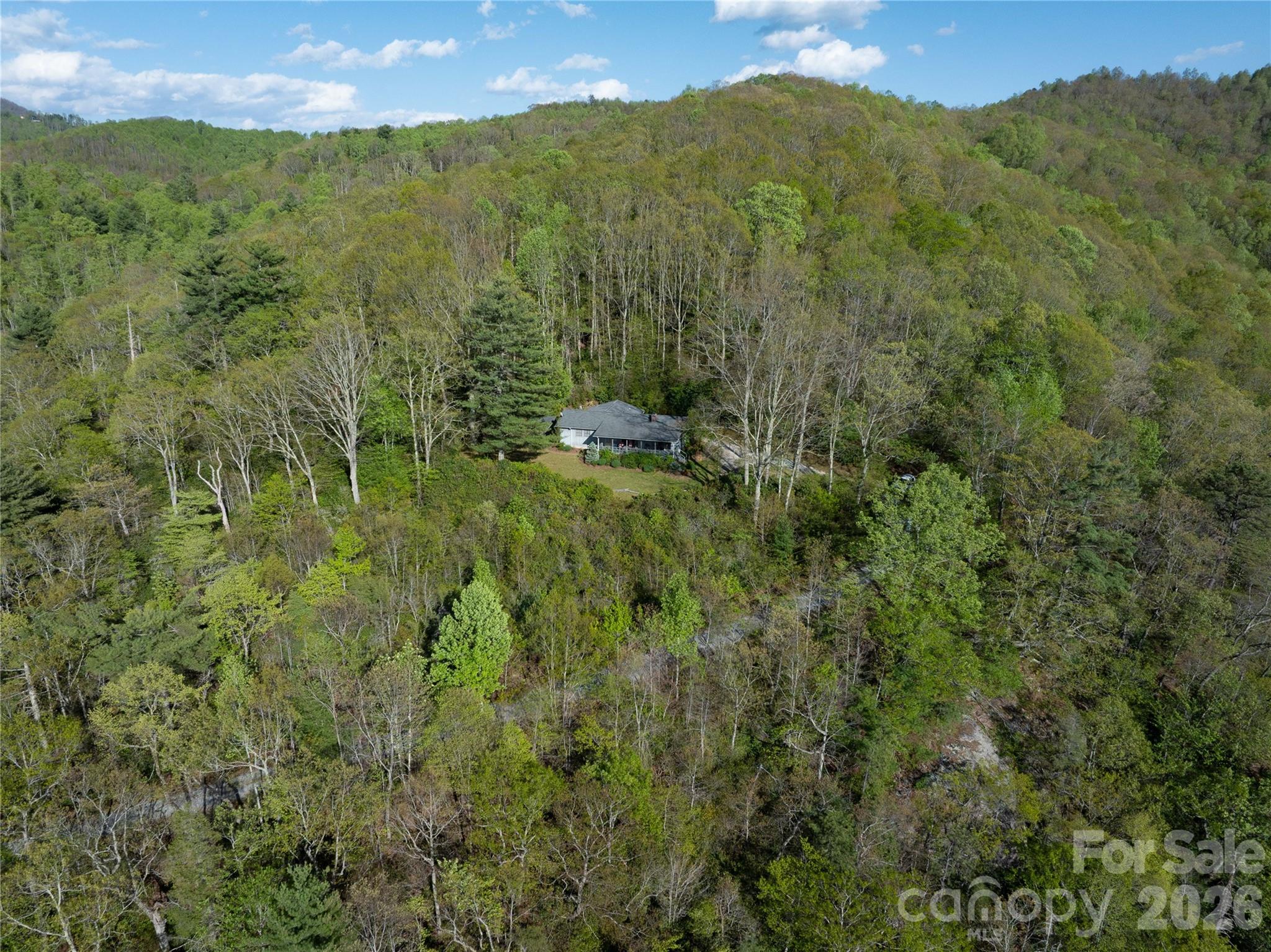 1412 North Bearwallow Road Fletcher, NC 28732 - Photo 8 of 30 a view of a lush green hillside and a mountain