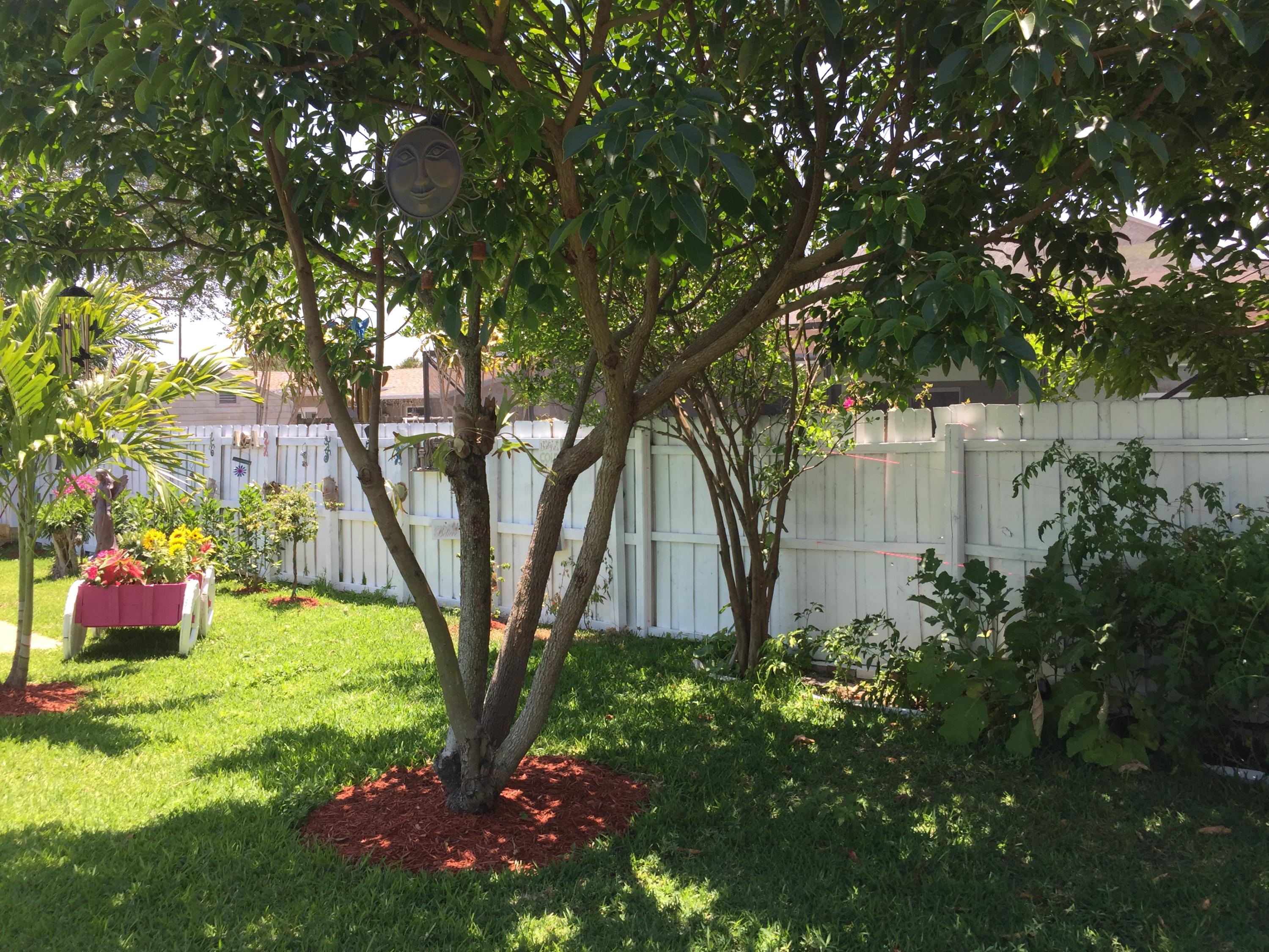 647 Southwest 17th Court Boca Raton, FL 33486 - Photo 21 of 46 IMG_2532