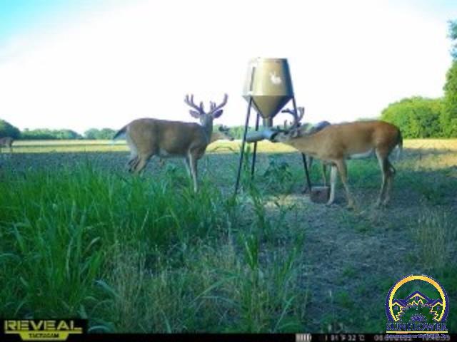 29475 South Paulen Road, Unit 4200 E 293 APPROX Melvern, KS 66510 - Photo 2 of 4