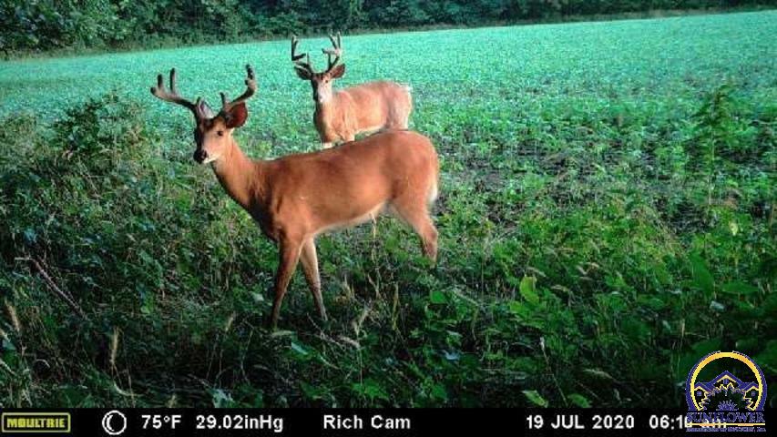 29475 South Paulen Road, Unit 4200 E 293 APPROX Melvern, KS 66510 - Photo 3 of 4