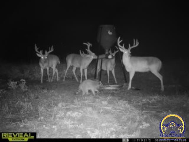 29475 South Paulen Road, Unit 4200 E 293 APPROX Melvern, KS 66510 - Photo 4 of 4