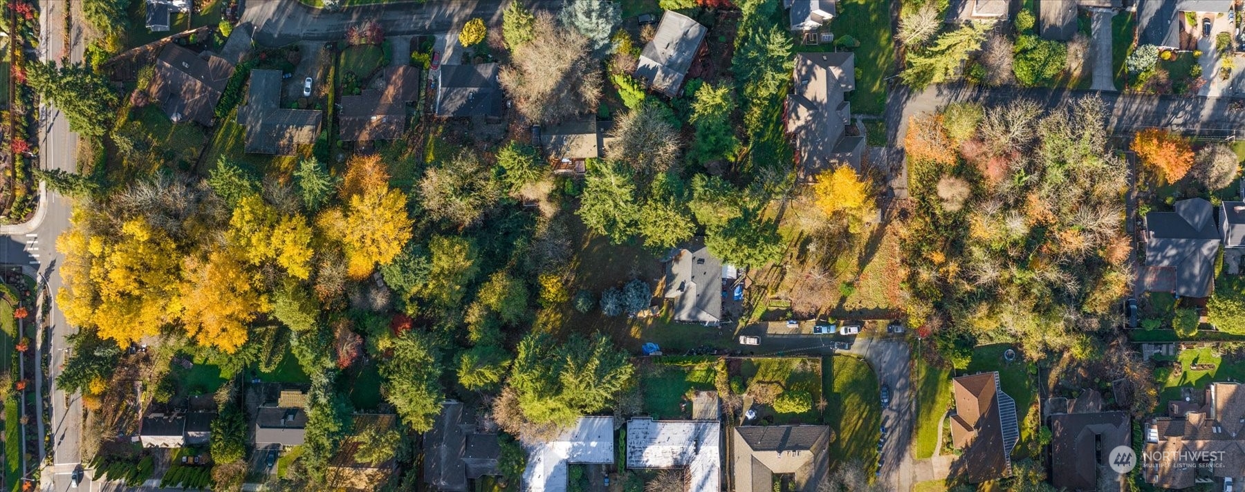 Undisclosed Address Bellevue, WA 98005 - Photo 2 of 10 a view of a tree in a yard