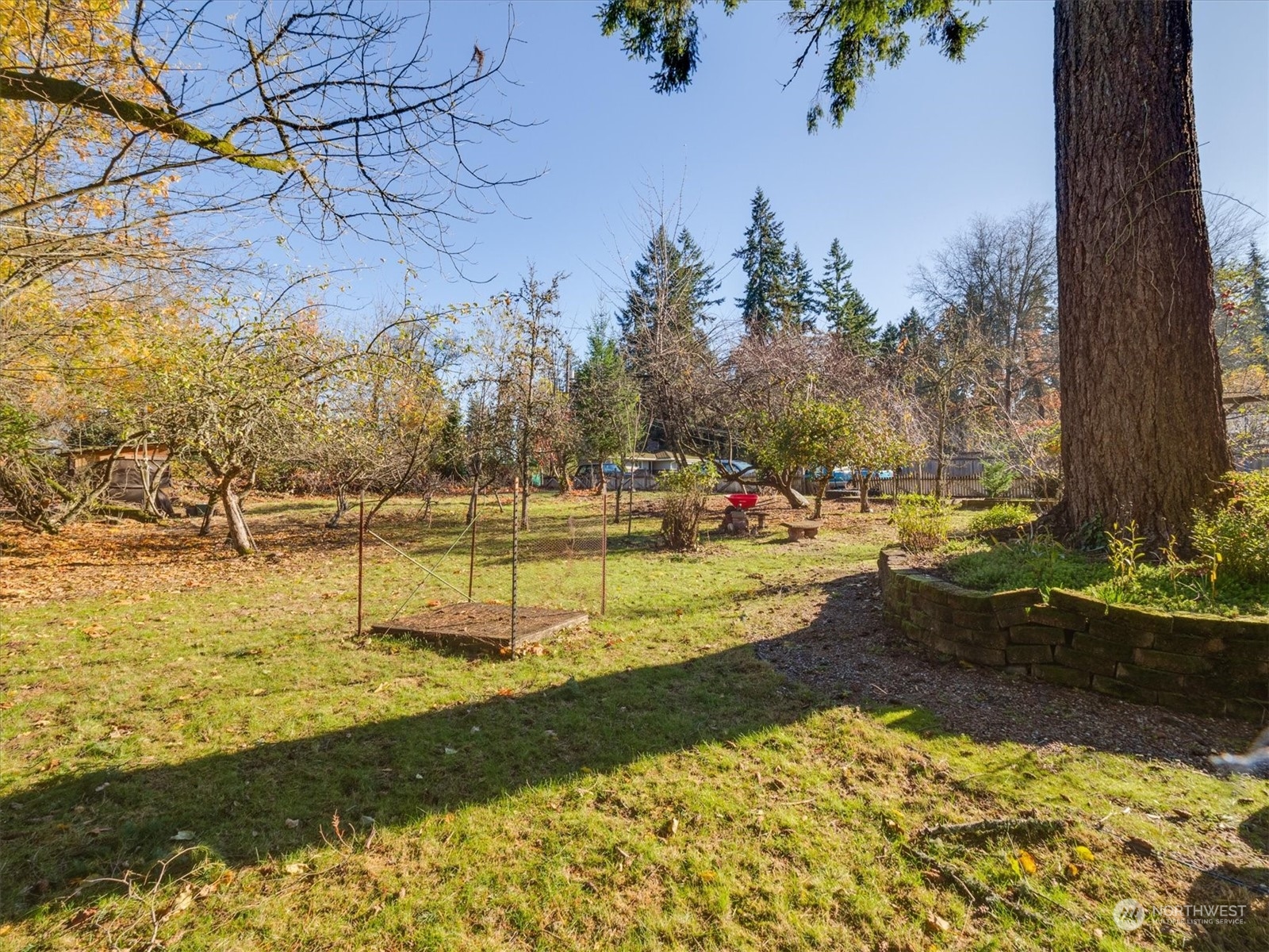 Undisclosed Address Bellevue, WA 98005 - Photo 5 of 10 a view of a yard with an outdoor space
