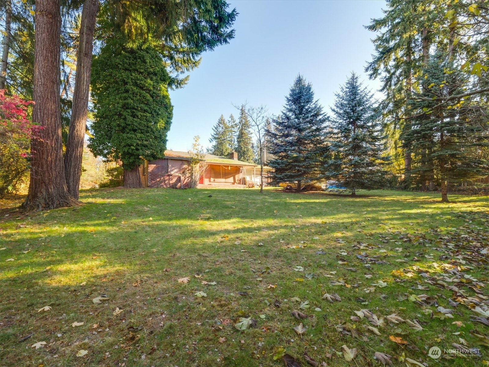 Undisclosed Address Bellevue, WA 98005 - Photo 6 of 10 a view of a park with large trees