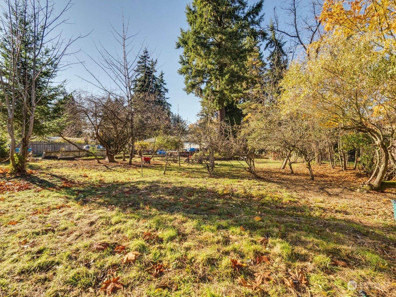 Undisclosed Address Bellevue, WA 98005 - Photo 8 of 10 a view of yard with trees