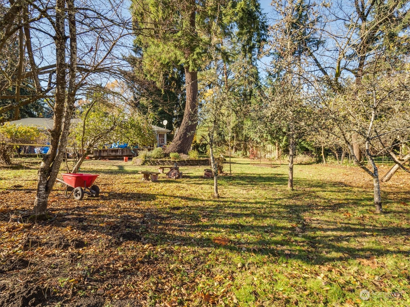 Undisclosed Address Bellevue, WA 98005 - Photo 9 of 10 a view of a yard with swimming pool