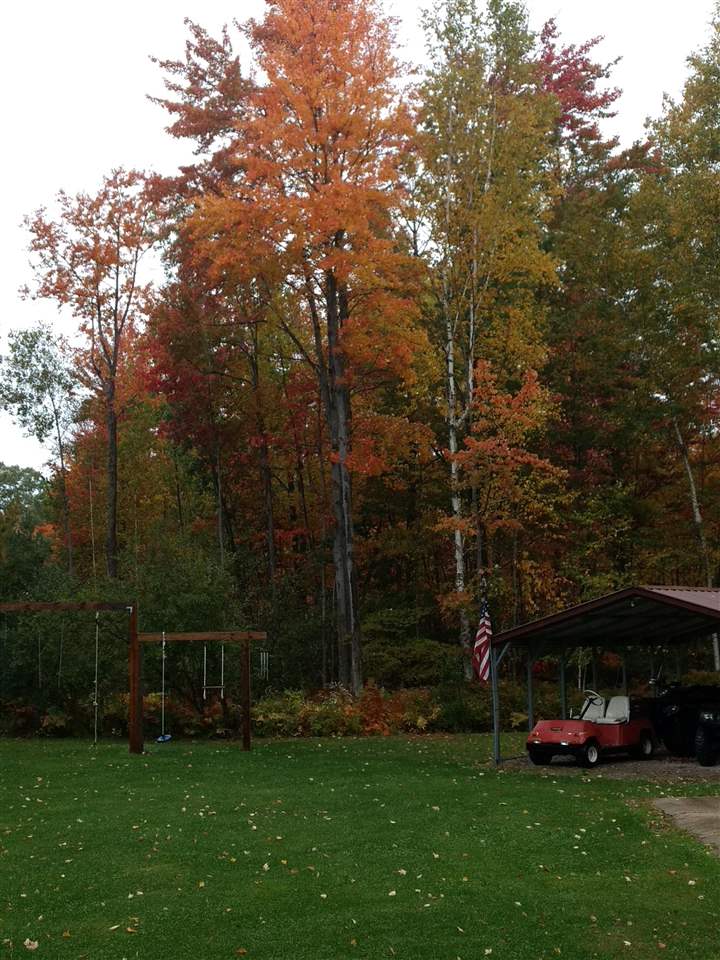 270 North Crawford Road Twining, MI 48766 - Photo 44 of 46 1877414-43.JPG