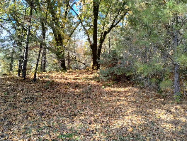 a view of outdoor space with trees