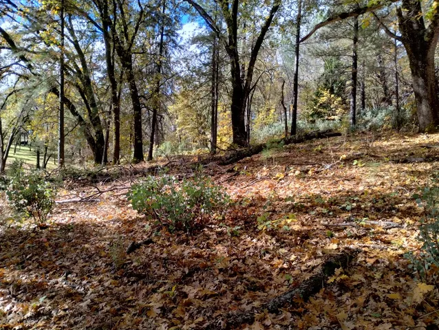 a backyard of a house with lots of green space