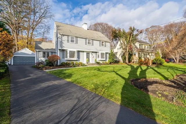 a view of a big yard with plants and large trees