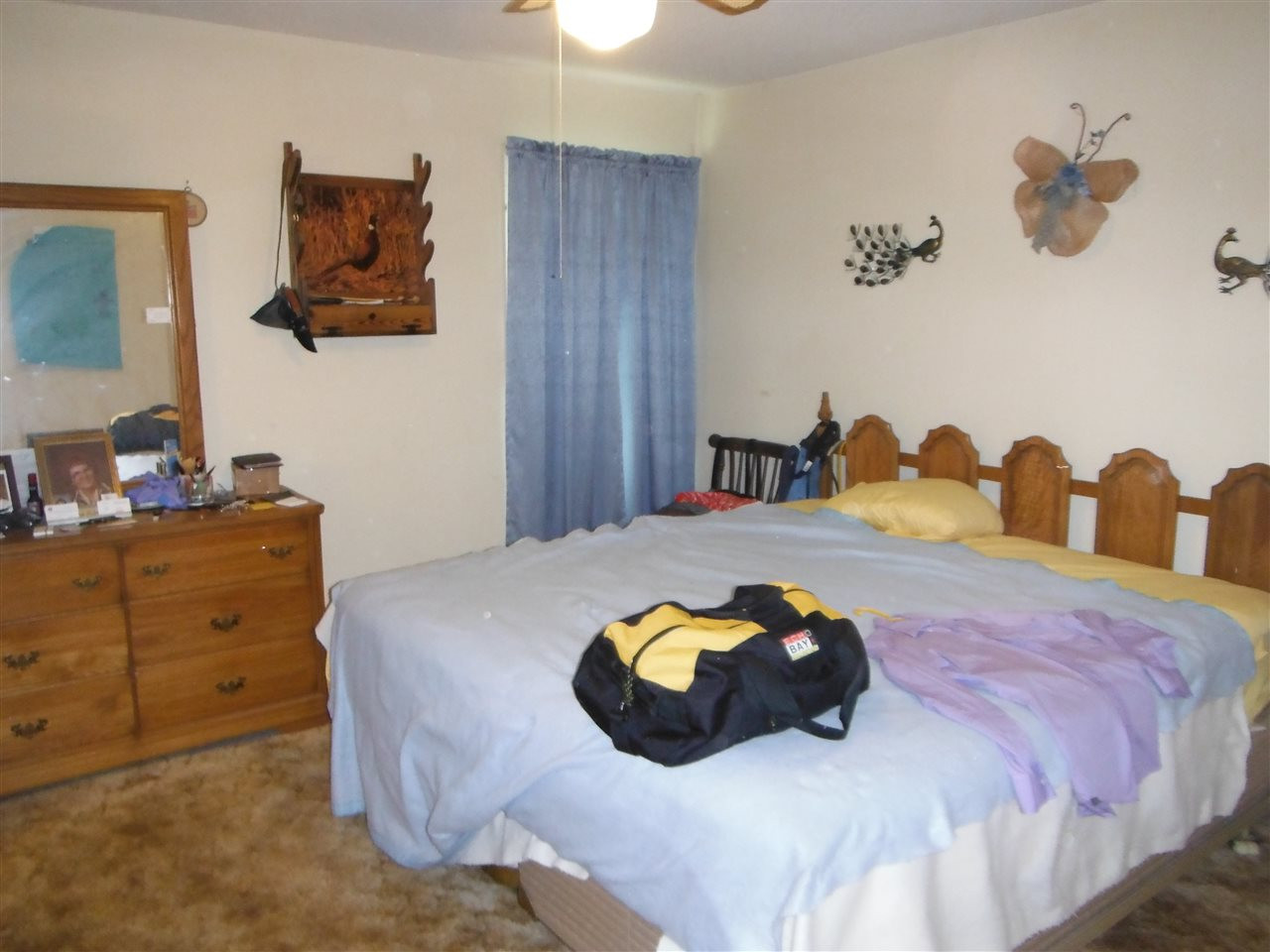 460 Thompson Road Carthage, MS 39051 - Photo 5 of 20 Photo 5