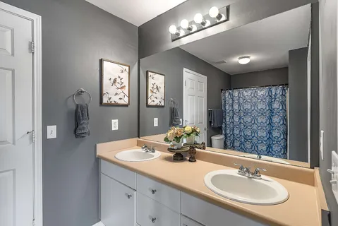 a bathroom with a sink double vanity and a mirror