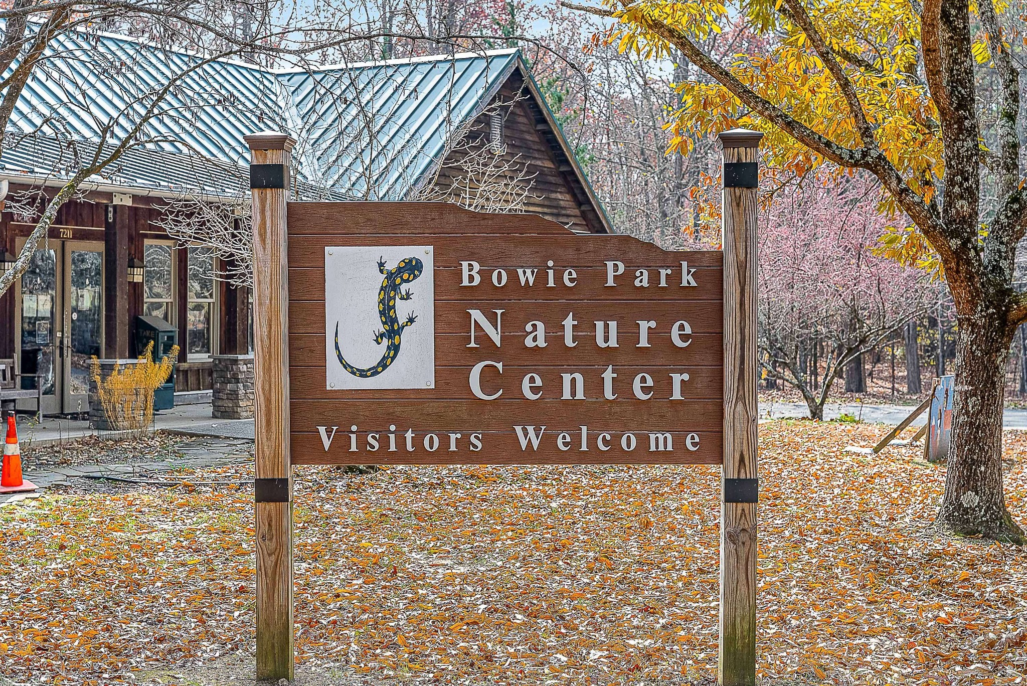 7211 Rye Court Fairview, TN 37062 - Photo 28 of 34