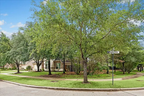 a view of yard with green space and trees