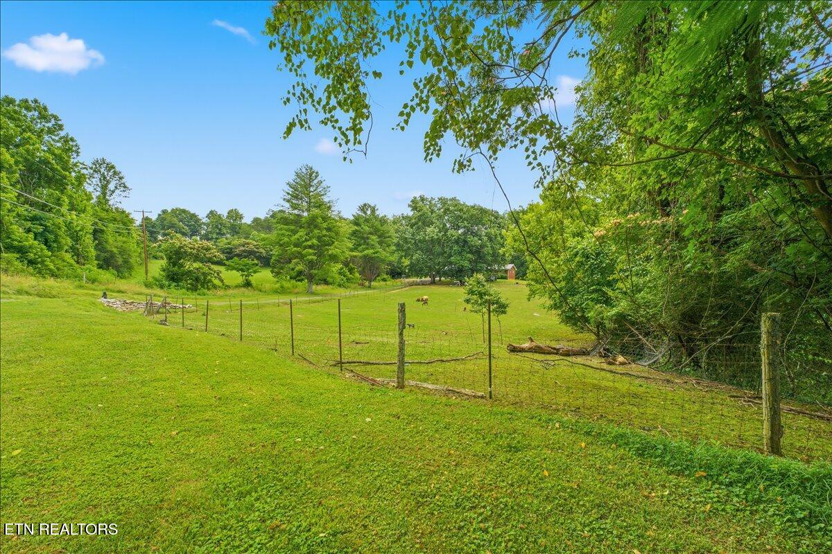 249 Old Cades Cove Road Townsend, TN 37882 - Photo 19 of 30 Exterior
