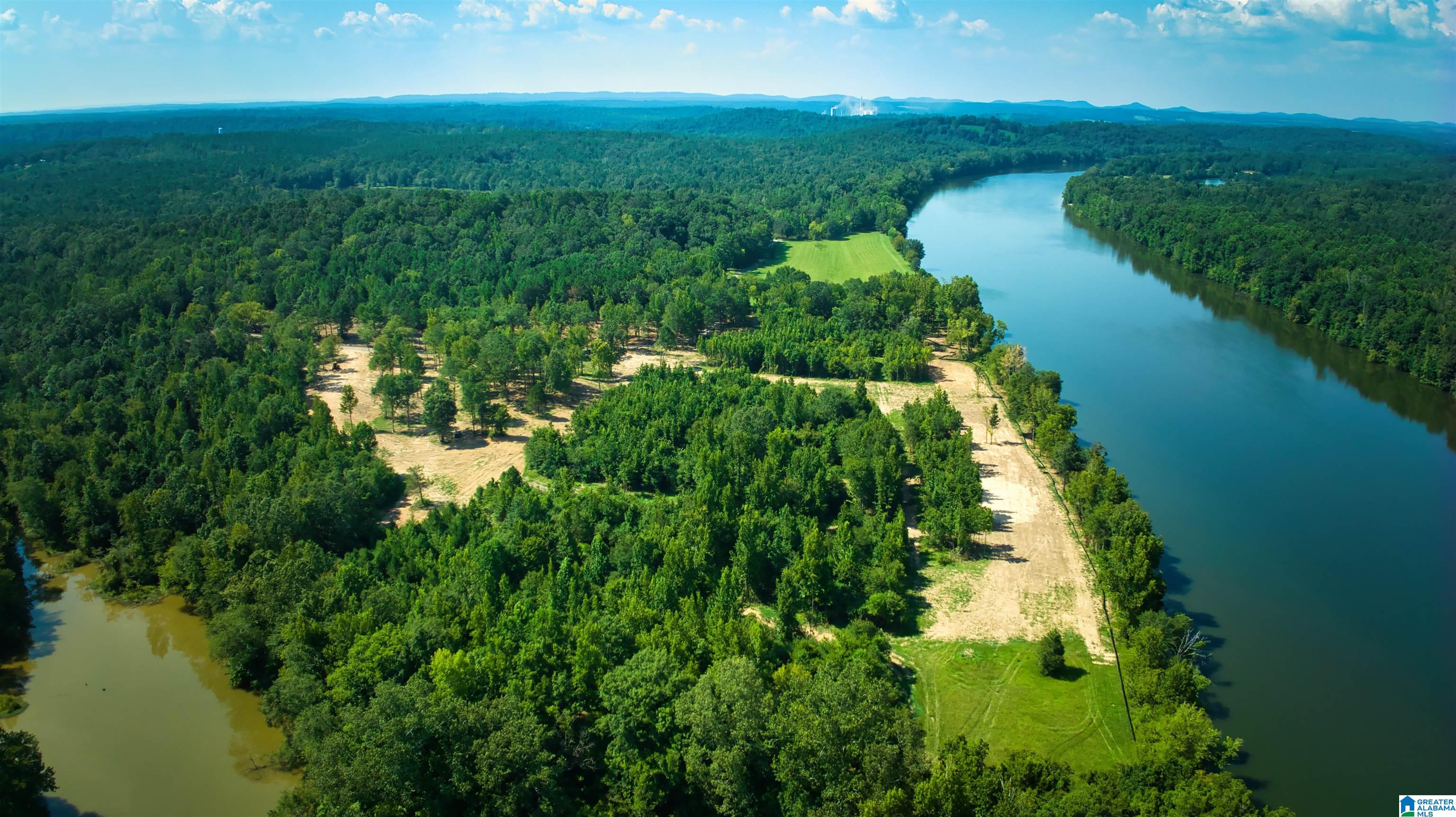 Lot 20 Wester Road, Unit LOT 20 Ragland, AL 35131 - Photo 16 of 68