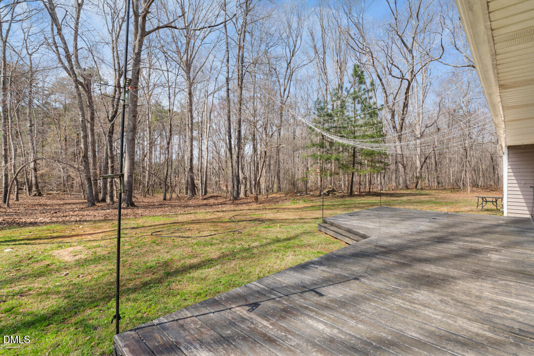 4739 Wild Azalea Place Rougemont, NC 27572 - Photo 34 of 49 DSC01472 (1)